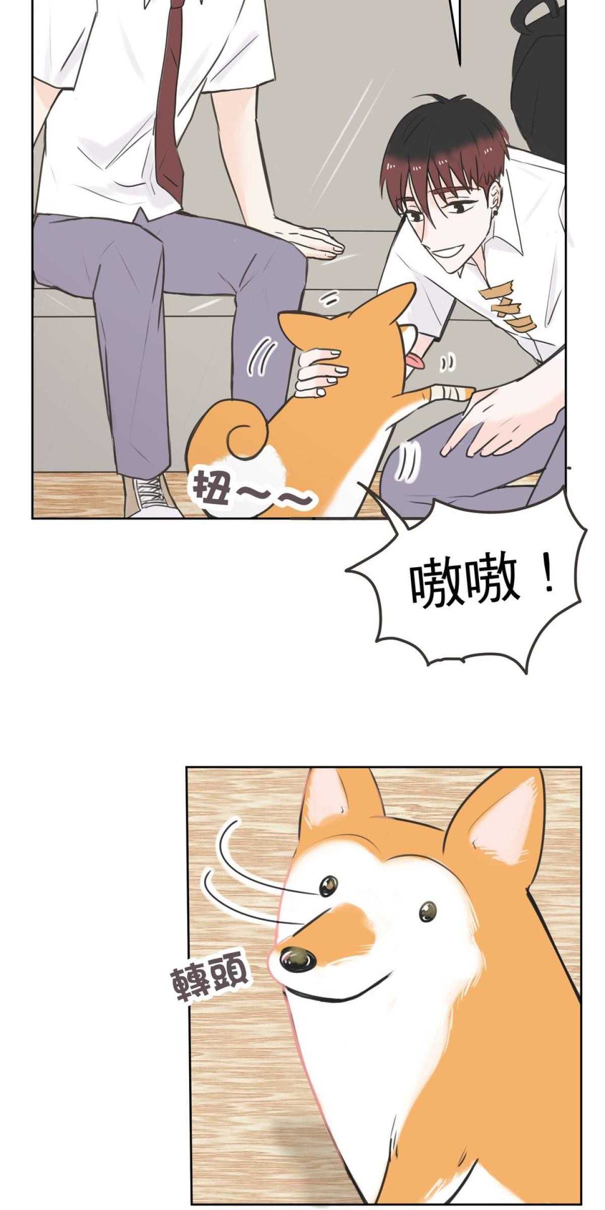 我聞到你來了 第三次 狗狗要聞 第44页