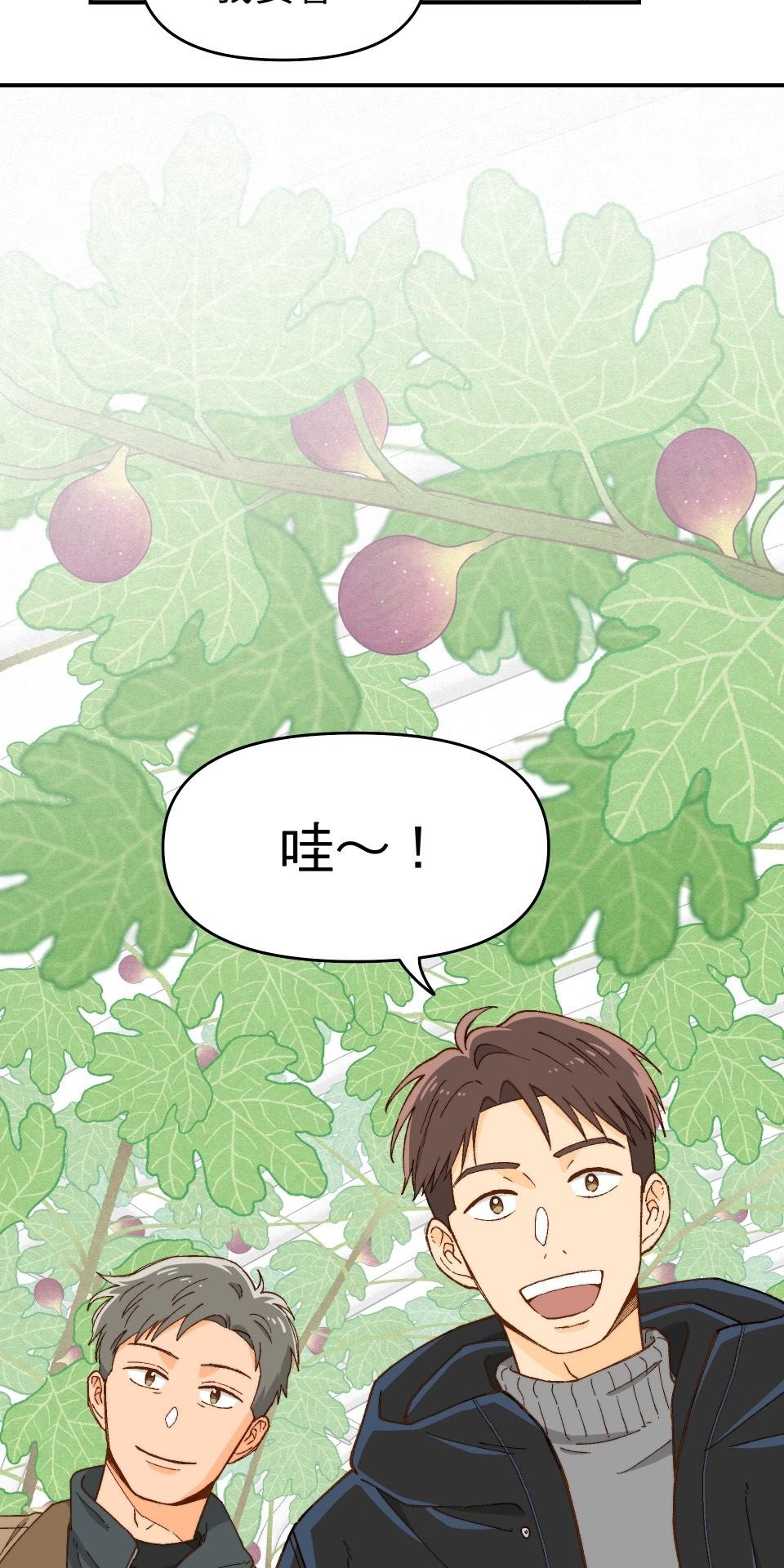 沒有愛情的月老廟-幸福糖 第四回 無花果的花語 第20页