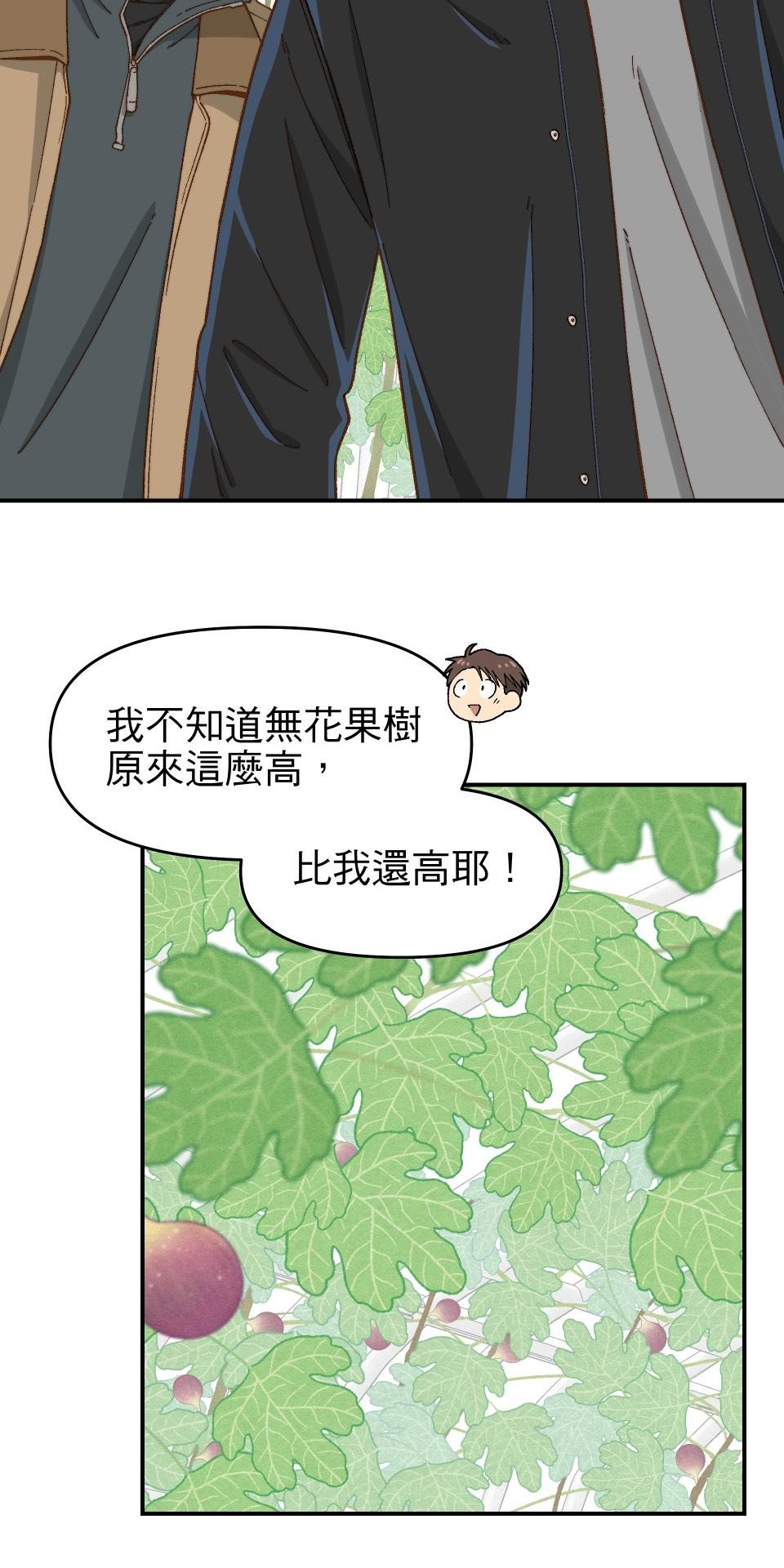 沒有愛情的月老廟-幸福糖 第四回 無花果的花語 第21页