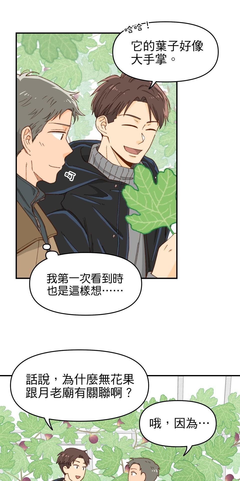 沒有愛情的月老廟-幸福糖 第四回 無花果的花語 第22页