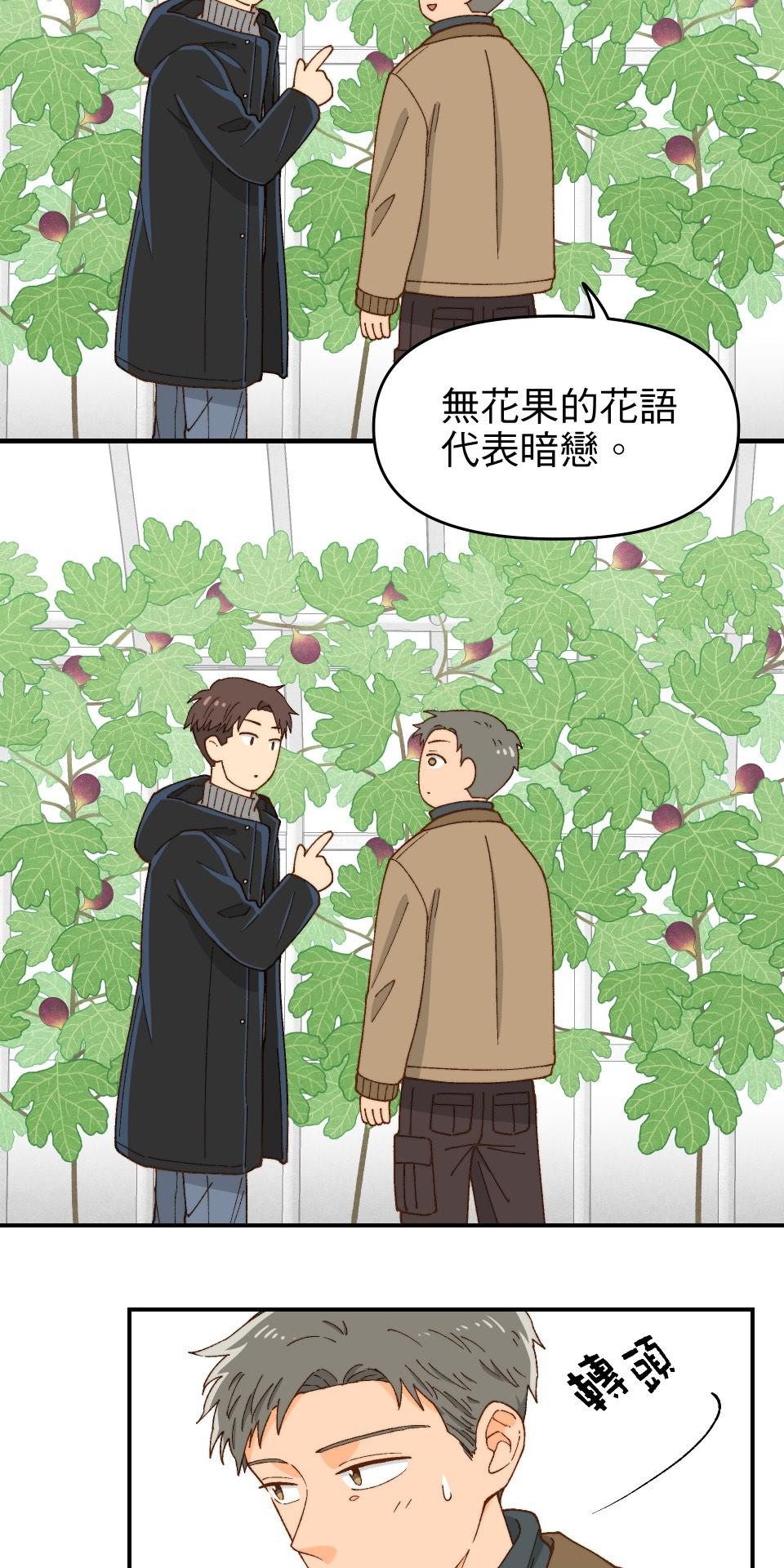 沒有愛情的月老廟-幸福糖 第四回 無花果的花語 第23页
