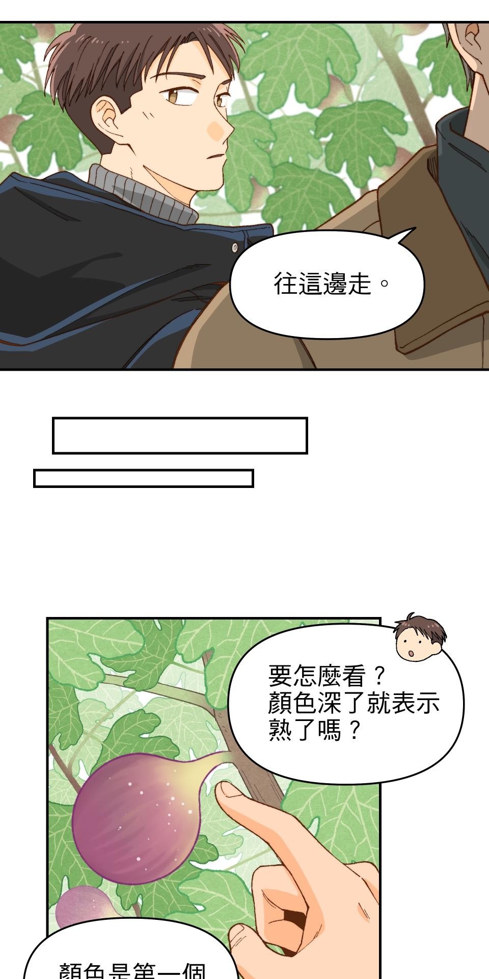 沒有愛情的月老廟-幸福糖 第四回 無花果的花語 第25页
