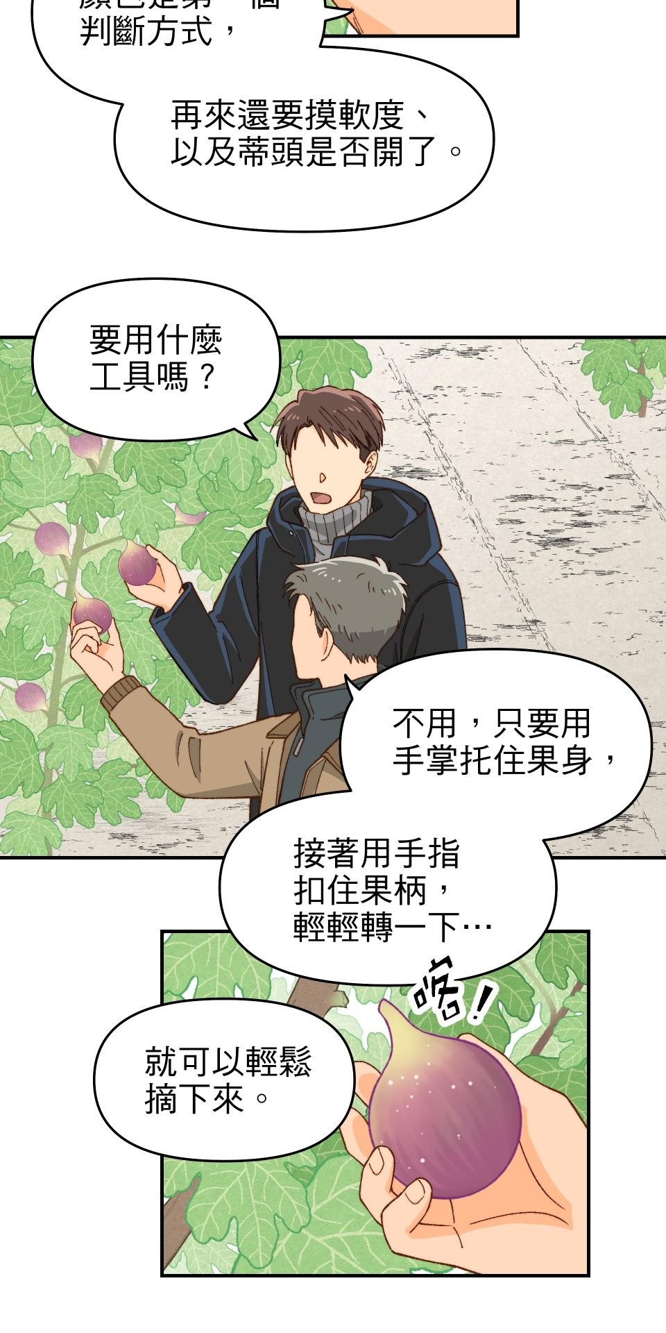 沒有愛情的月老廟-幸福糖 第四回 無花果的花語 第26页