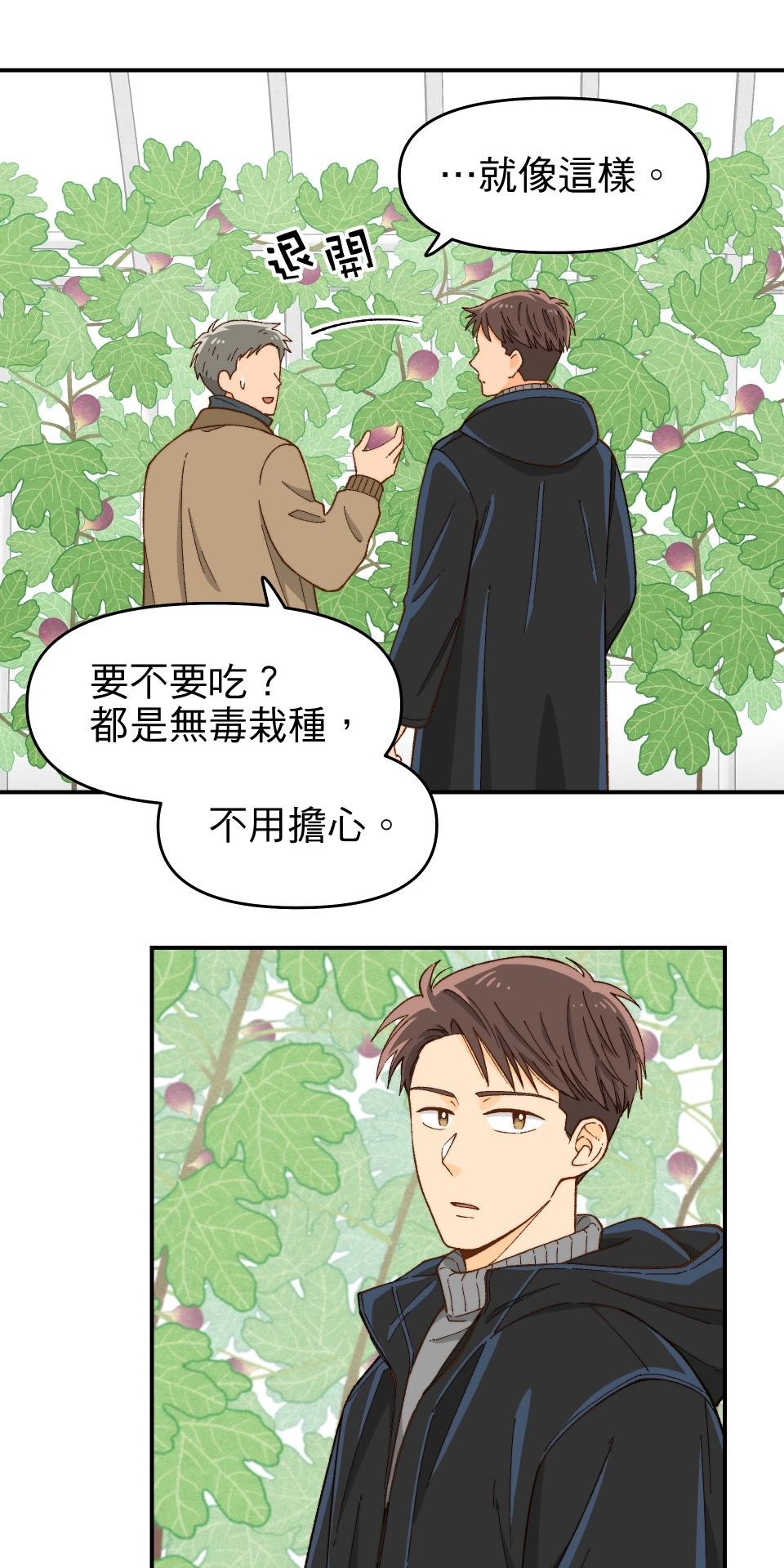 沒有愛情的月老廟-幸福糖 第四回 無花果的花語 第31页