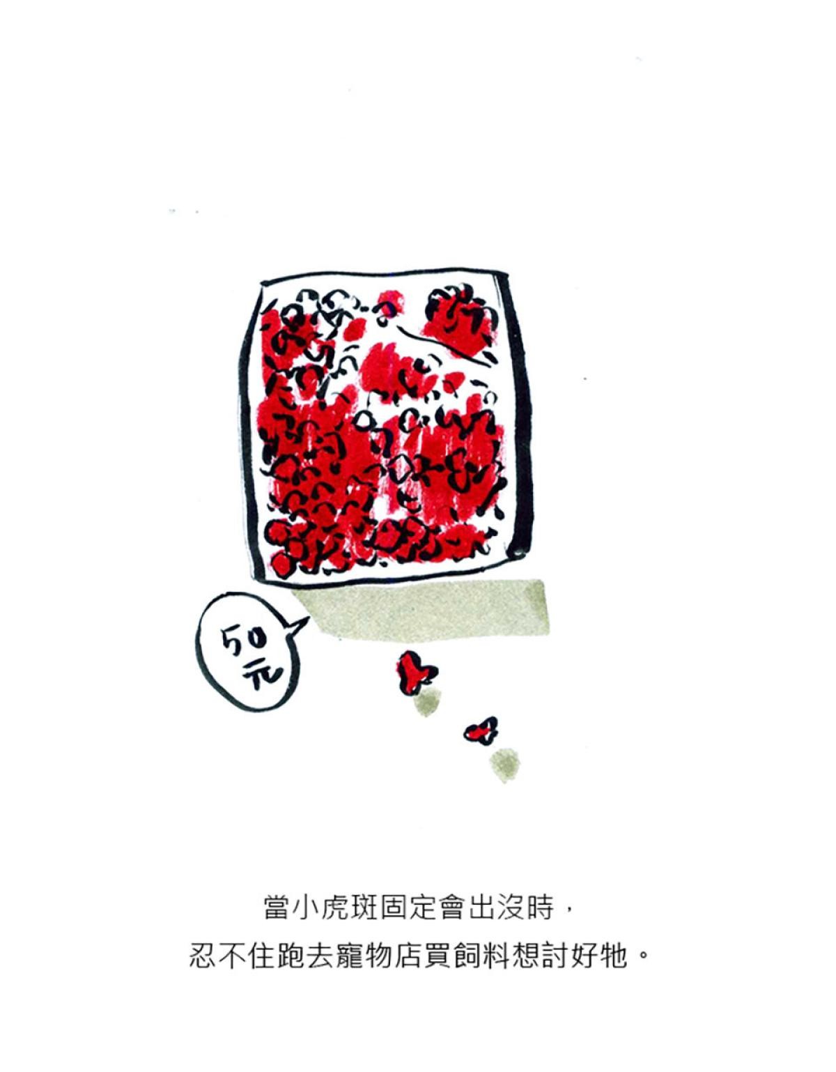 後陽台的訪客 第4页
