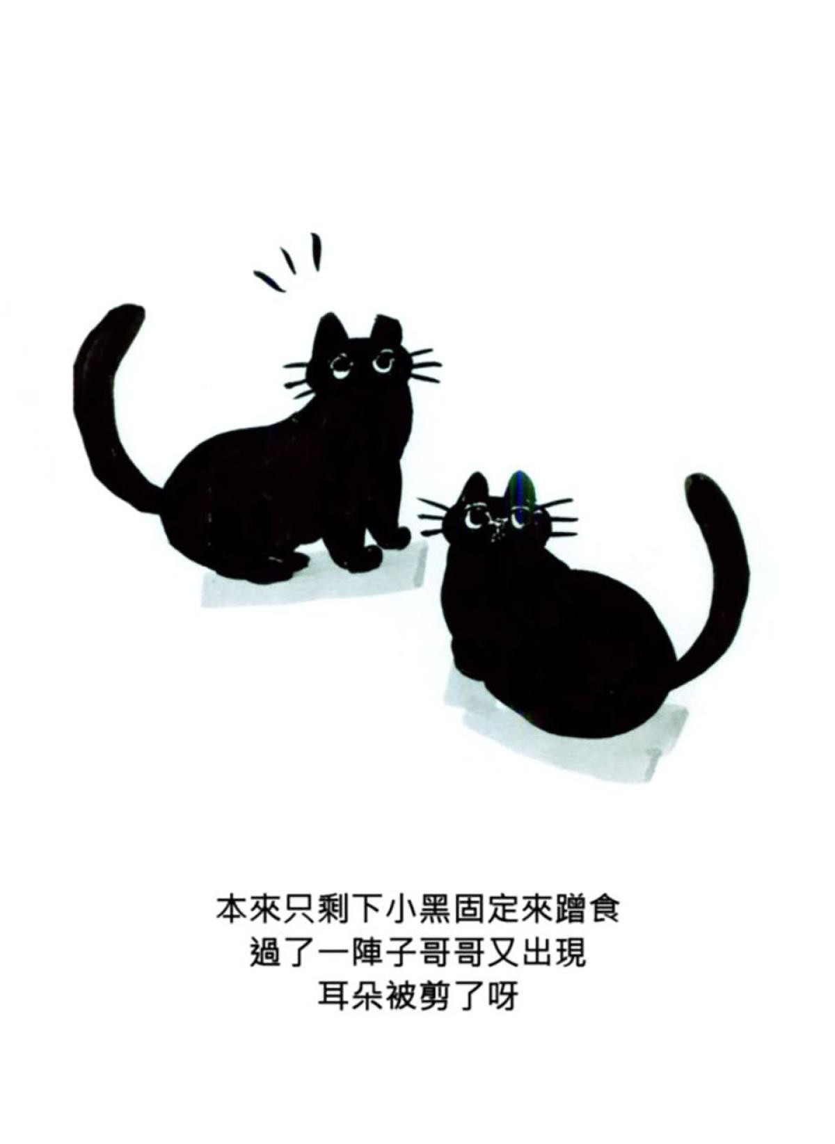後陽台的訪客 第六話 第16页