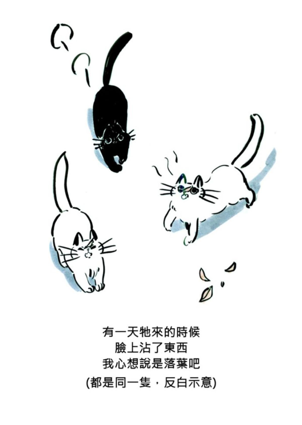 後陽台的訪客 第六話 第19页