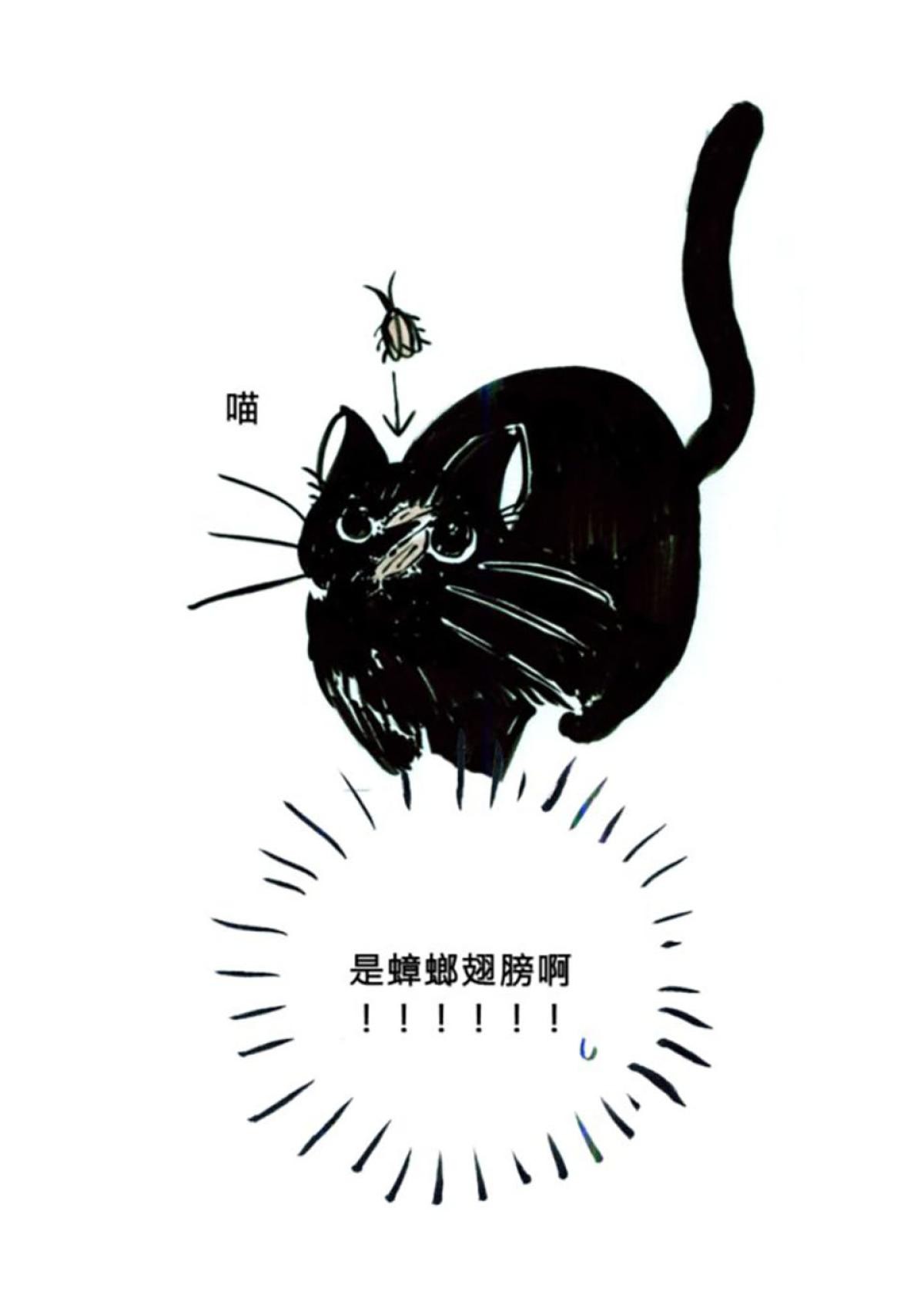 後陽台的訪客 第六話 第20页