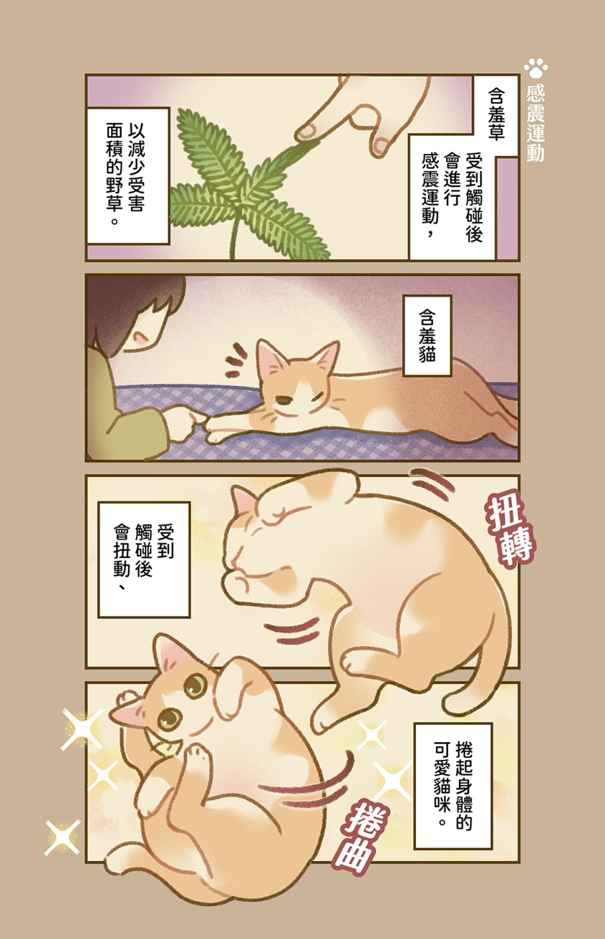 他喵的！222喵喵日特集 貓貓睡覺時最可愛 by 呼卡 第1页