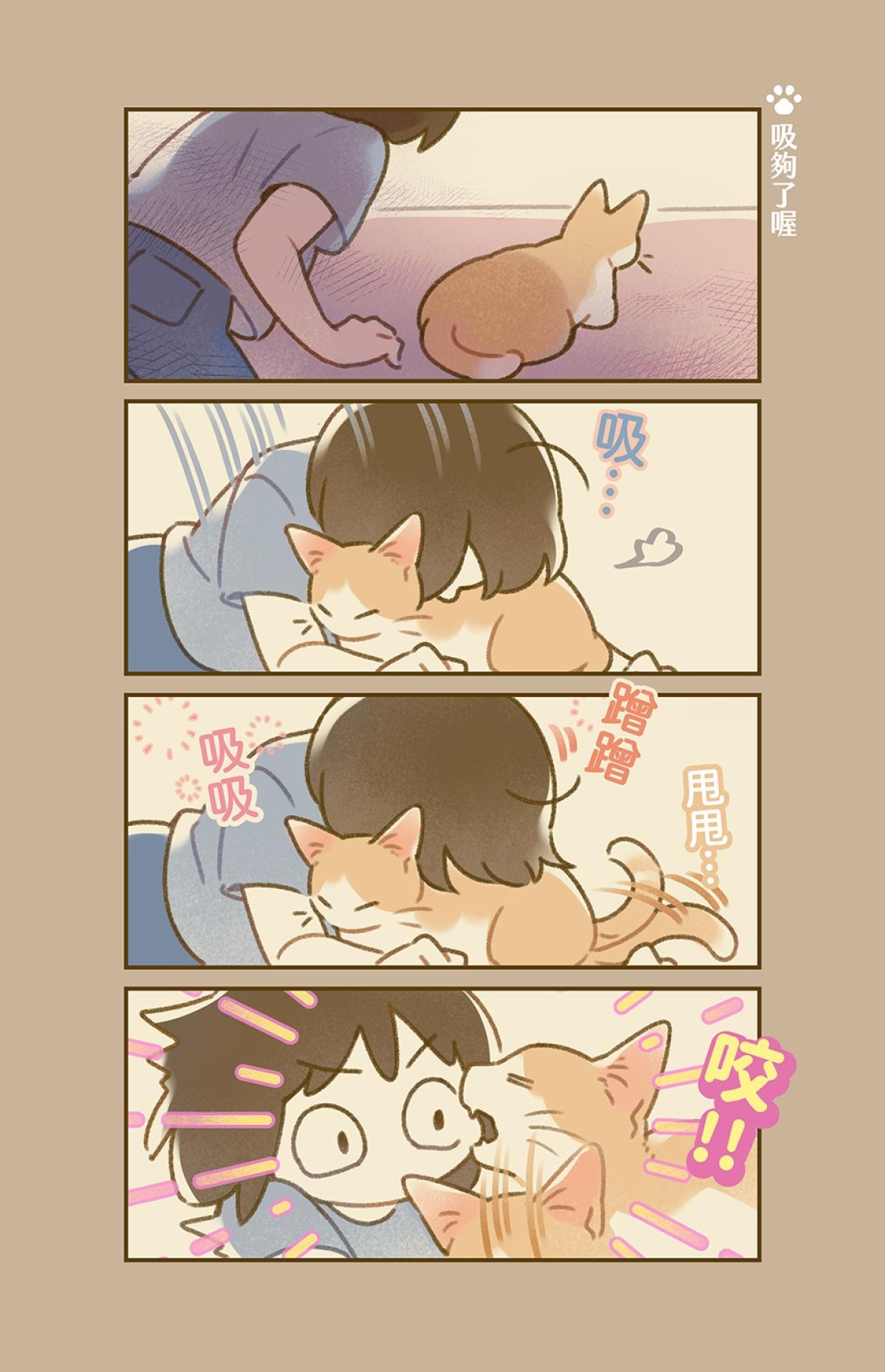 他喵的！222喵喵日特集 貓貓睡覺時最可愛 by 呼卡 第5页