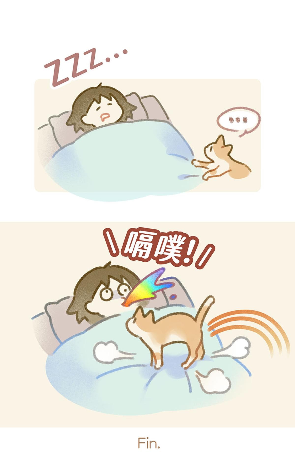 他喵的！222喵喵日特集 貓貓睡覺時最可愛 by 呼卡 第8页