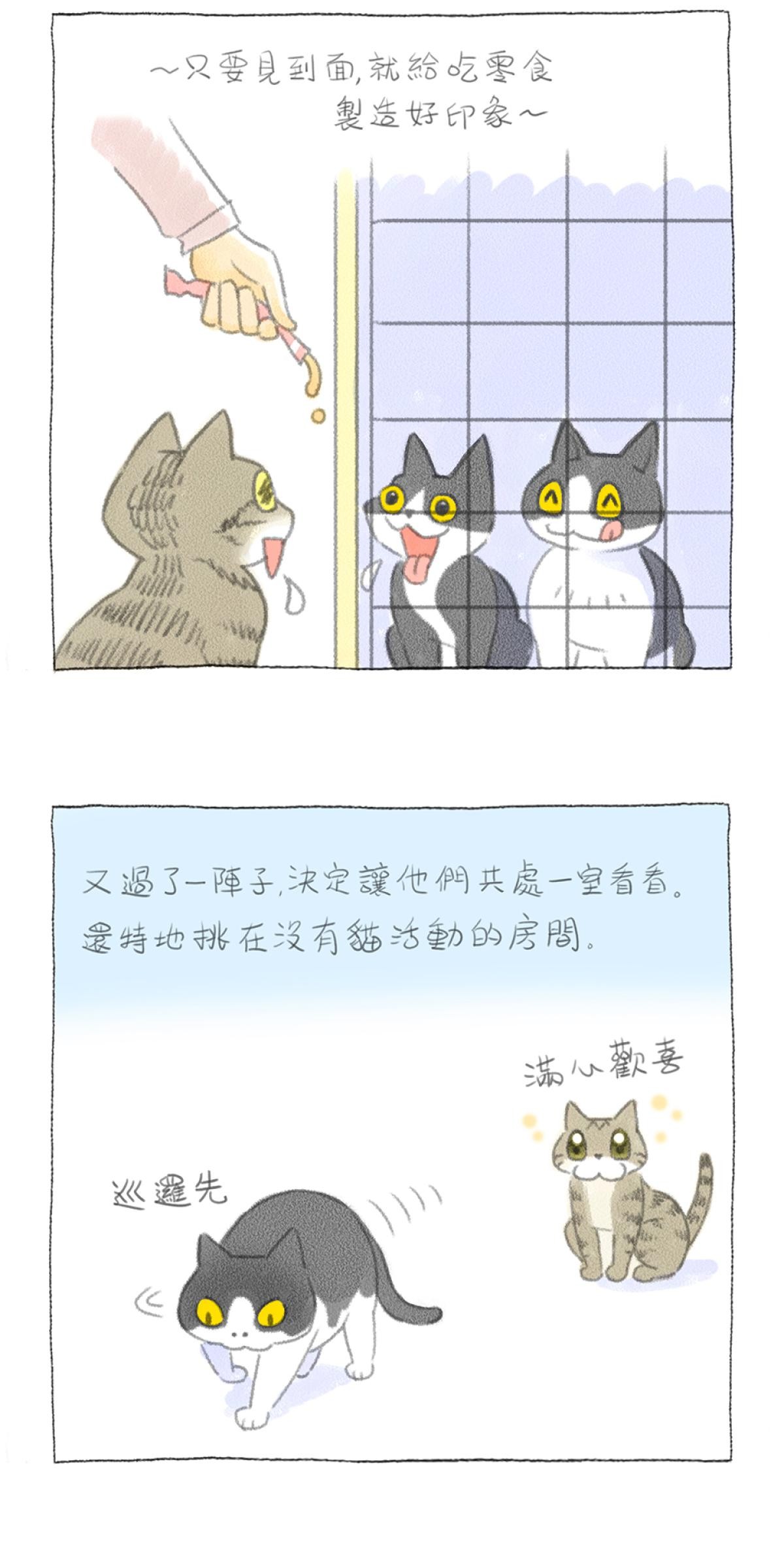 他喵的！222喵喵日特集 嚕嚕543 by妙卡卡 第8页