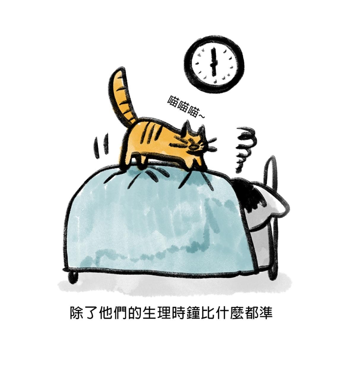 他喵的！222喵喵日特集 後陽台的訪客 第九話 byNIN 第2页