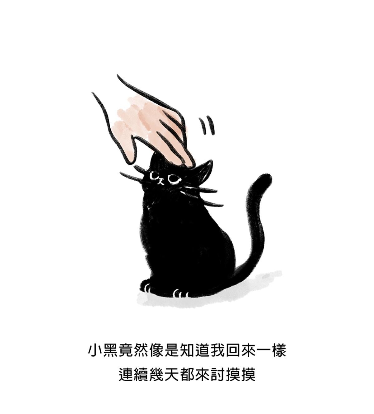 他喵的！222喵喵日特集 後陽台的訪客 第九話 byNIN 第18页