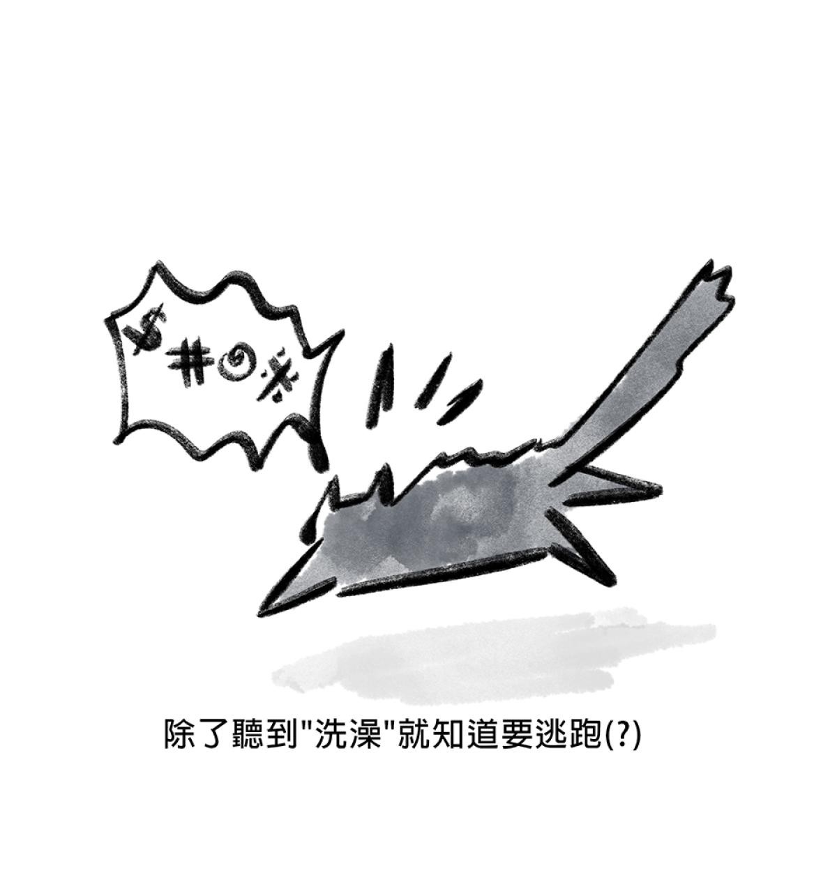 他喵的！222喵喵日特集 後陽台的訪客 第九話 byNIN 第3页