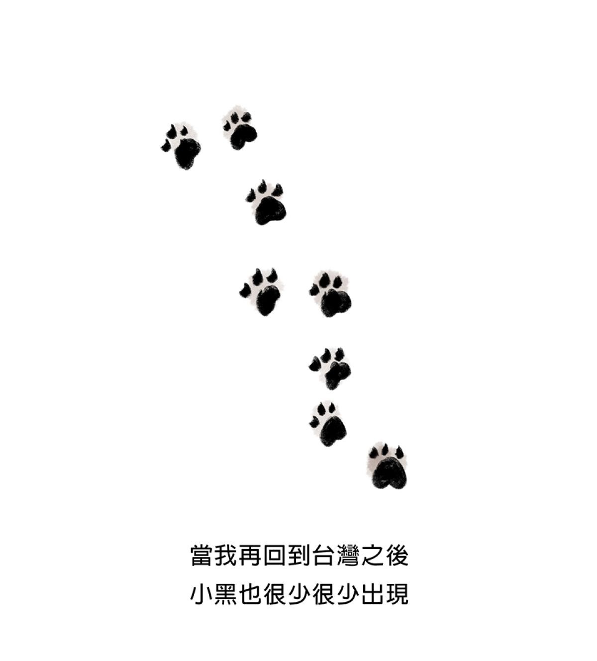 他喵的！222喵喵日特集 後陽台的訪客 第九話 byNIN 第21页