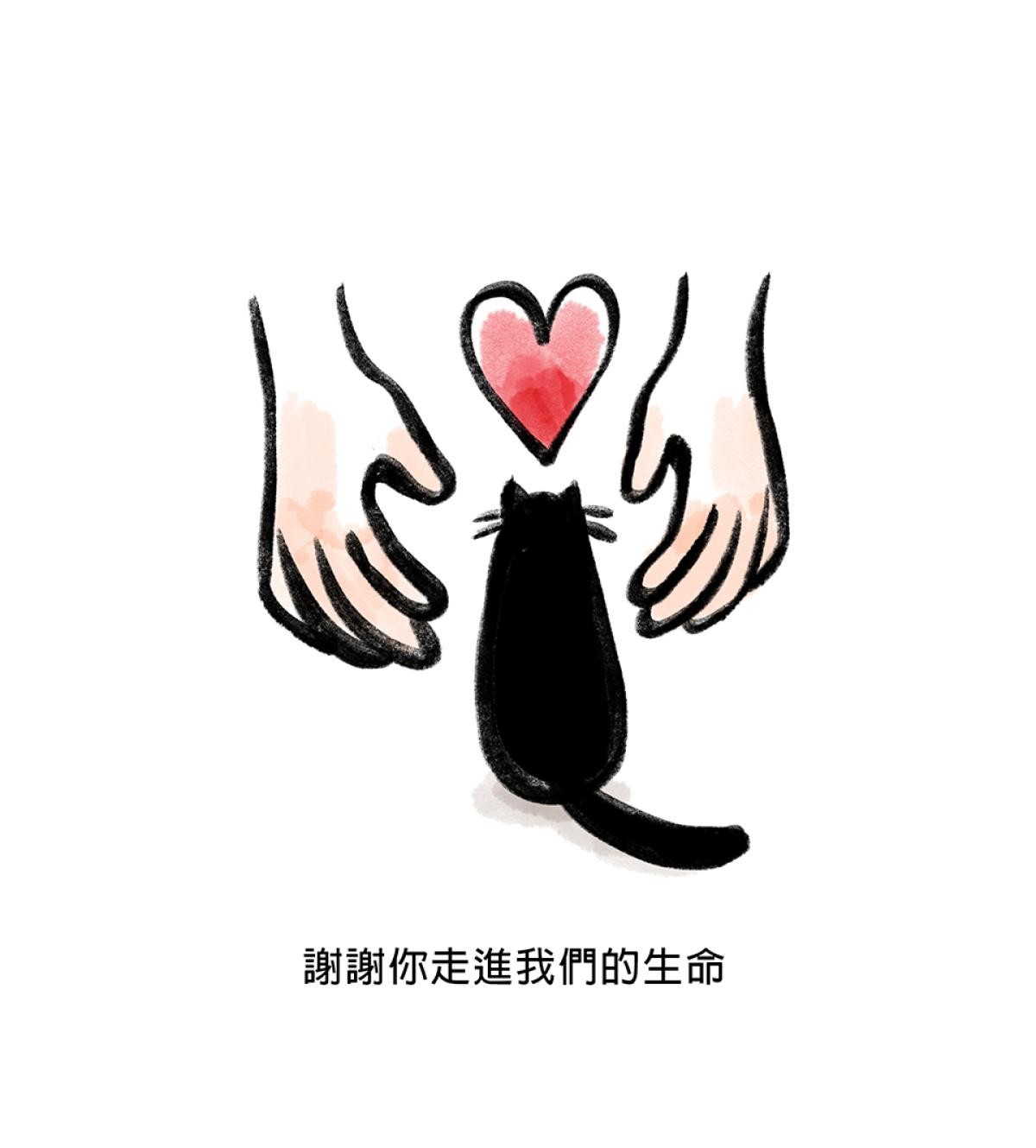 他喵的！222喵喵日特集 後陽台的訪客 第九話 byNIN 第28页