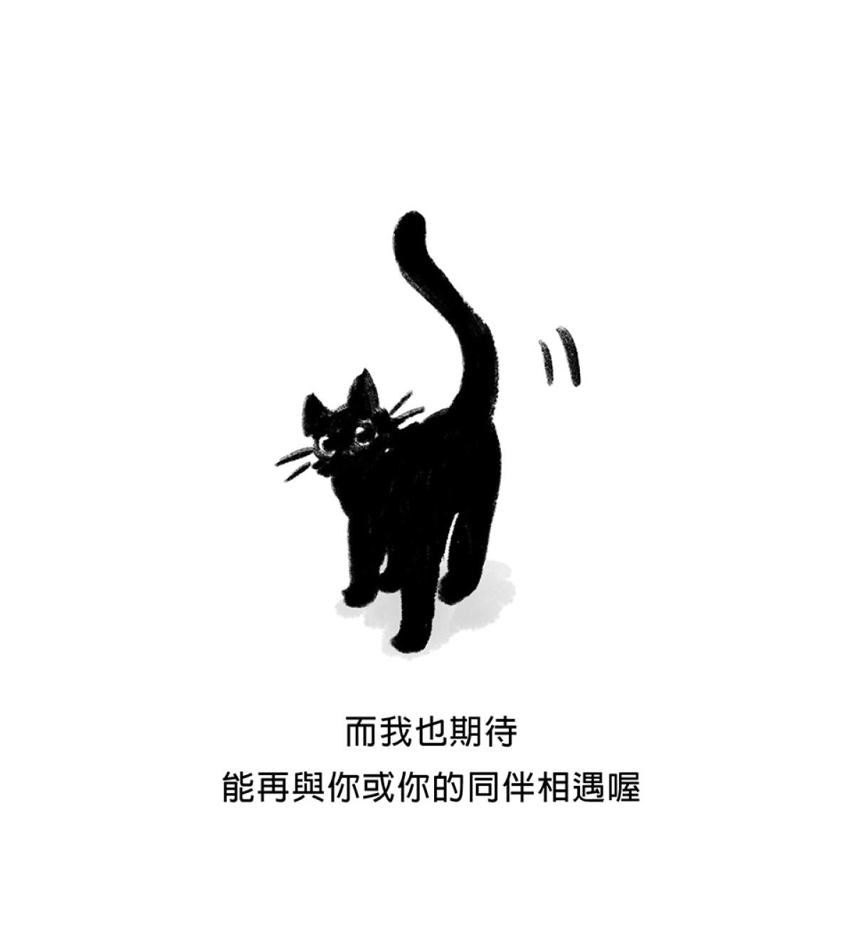 他喵的！222喵喵日特集 後陽台的訪客 第九話 byNIN 第30页