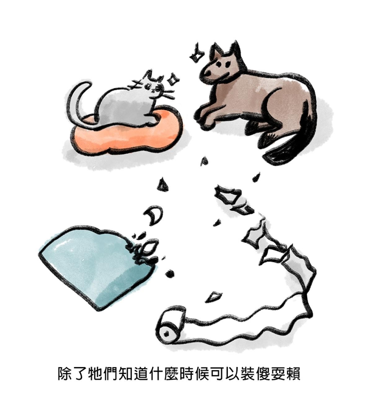 他喵的！222喵喵日特集 後陽台的訪客 第九話 byNIN 第4页